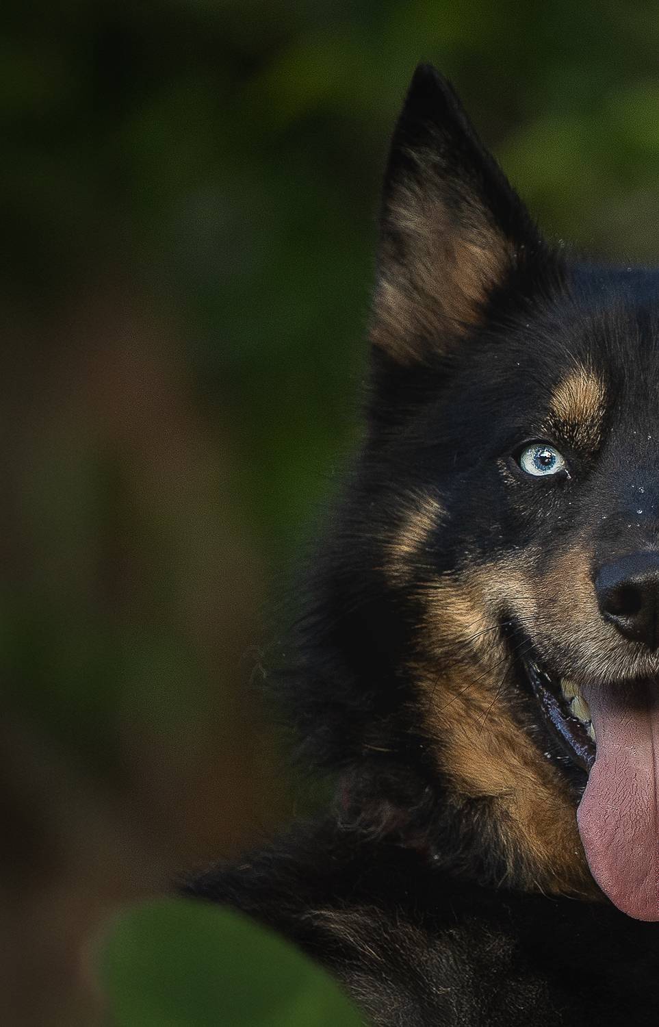 , Елена Самусенкова