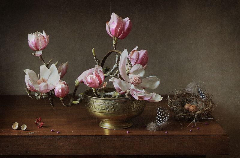 .. магнолия .. фото превью