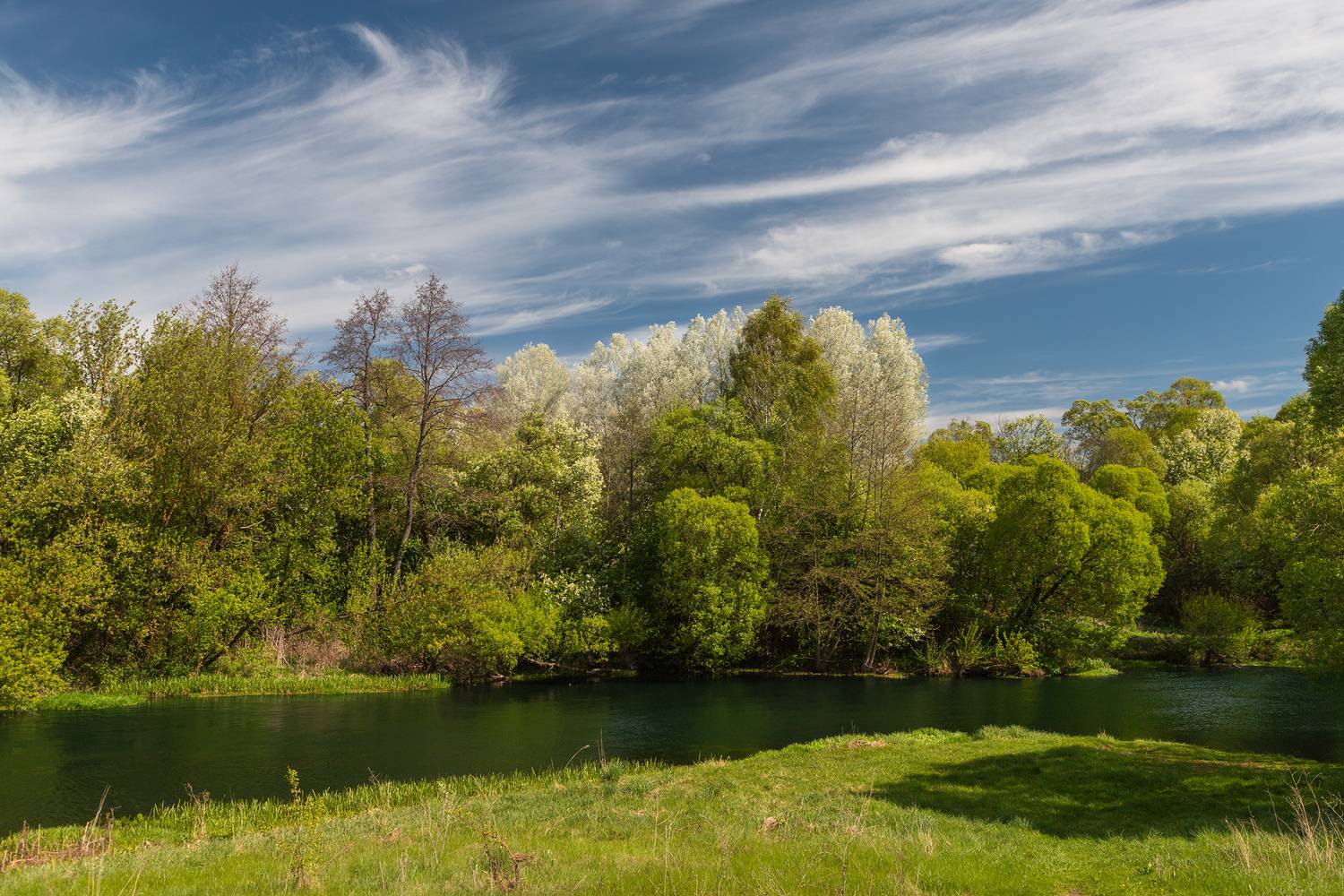 пейзаж, природа, весна, река, nature, wildlife, canon , Пронин Денис