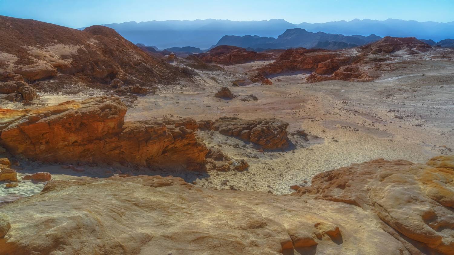 , Шварцман Евгений