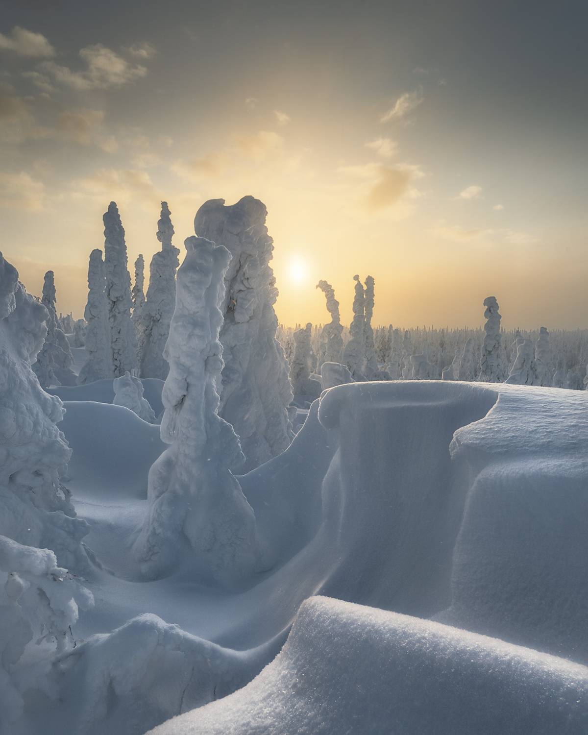 , Медянцев Дмитрий