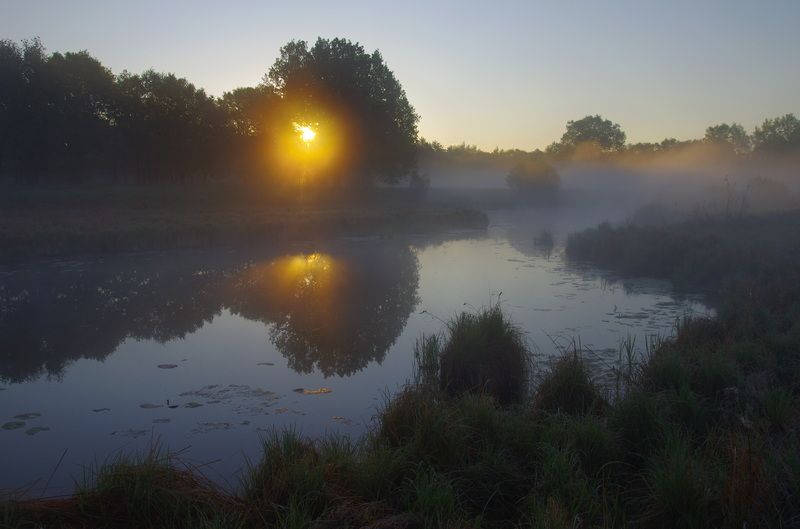 Утренний свет фото превью