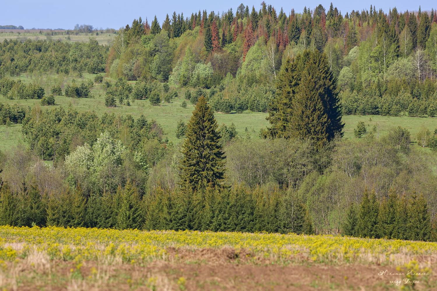 , Никитин Алексей