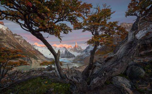 Cerro Torre