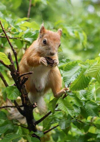 Время завтракать