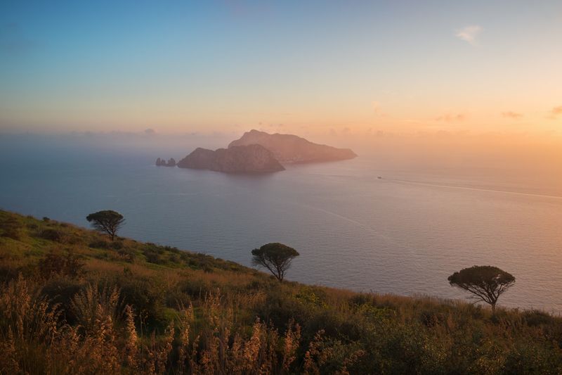 sunset, landscape, italy, capri, sea, trees The tree trees фото превью