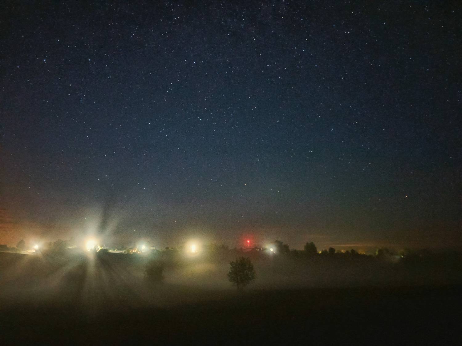 , Кондрашова Светлана