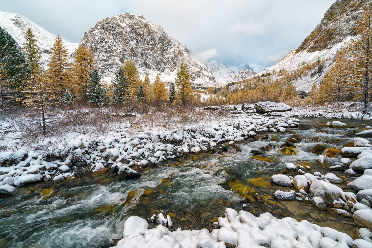 , Лариса Дука