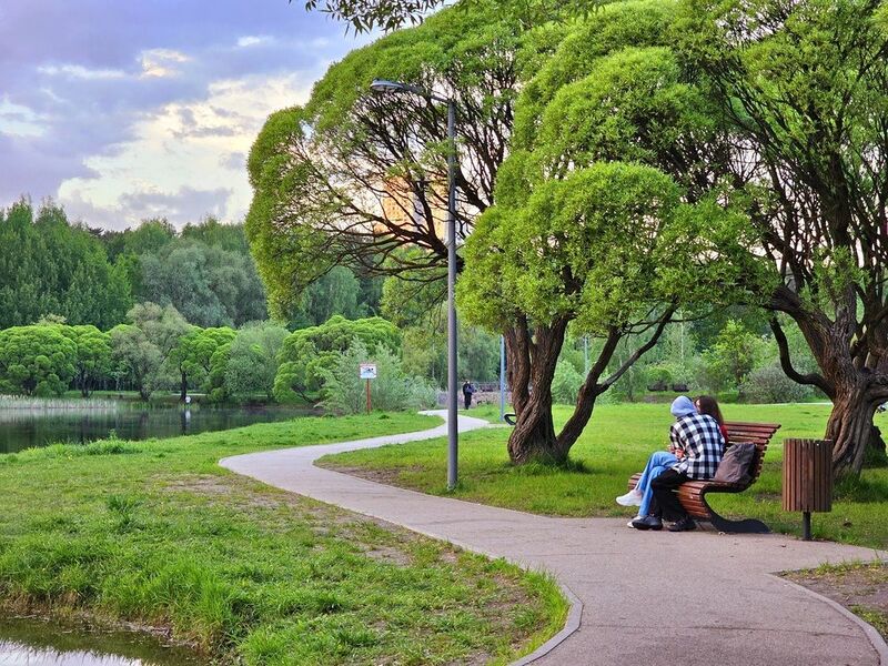 фото превью