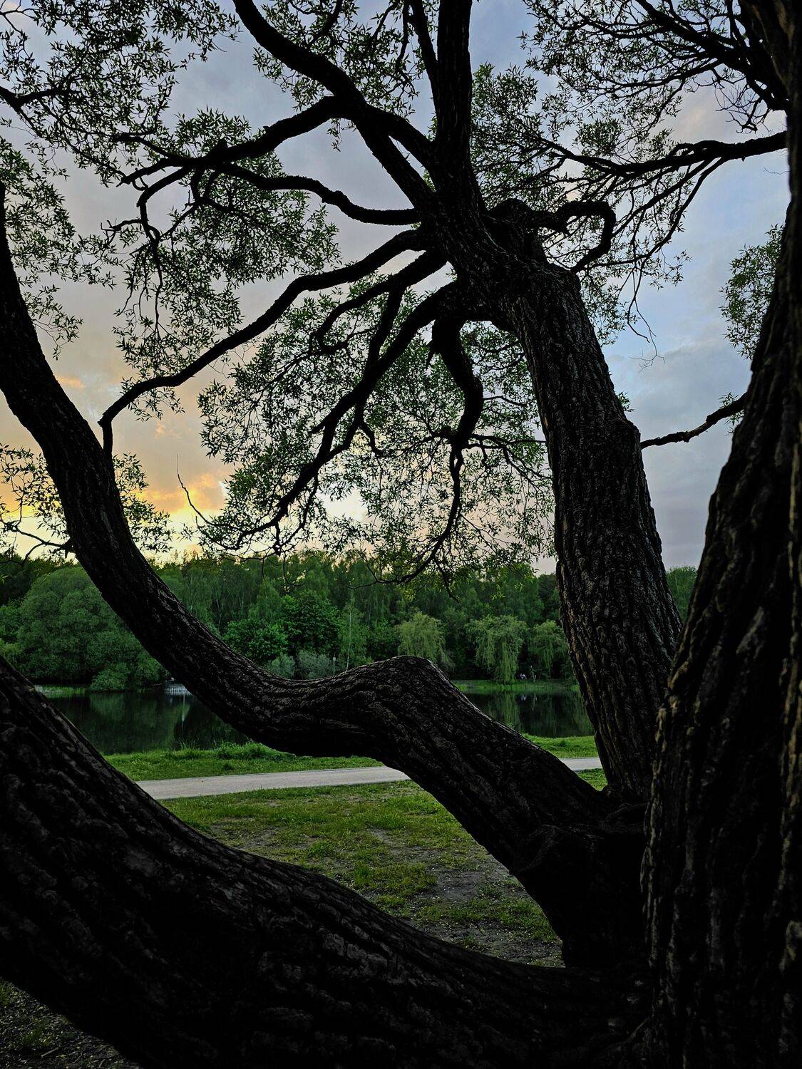 , Мария Яковлева