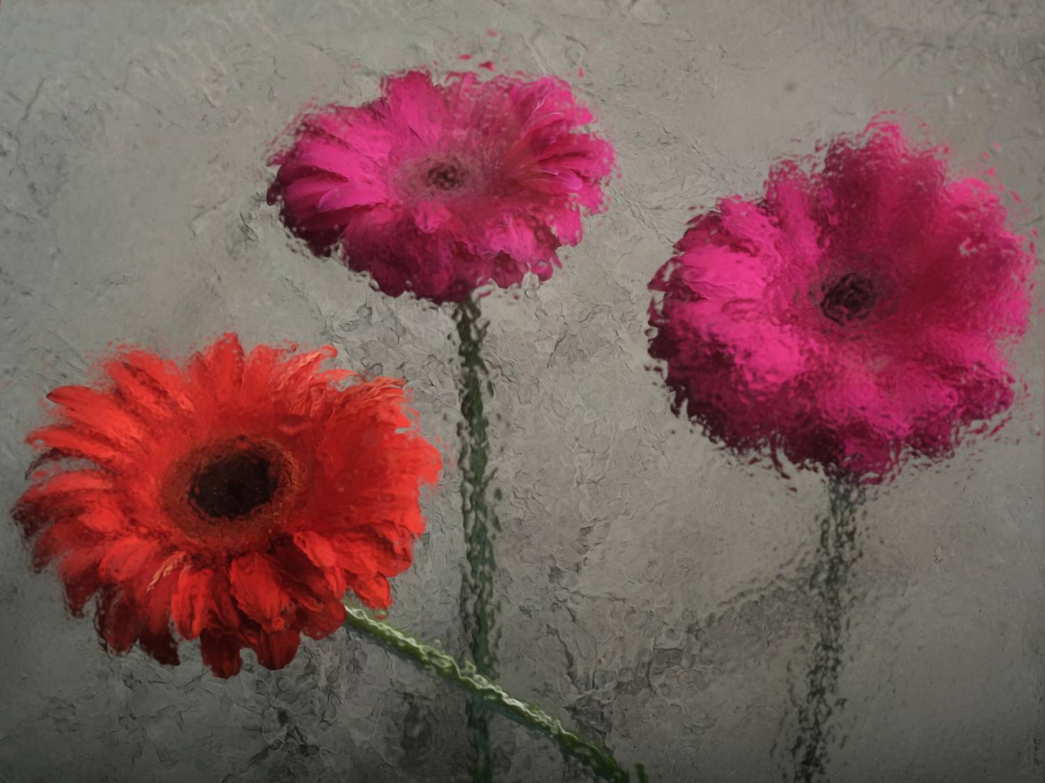 , Тим Мартынов