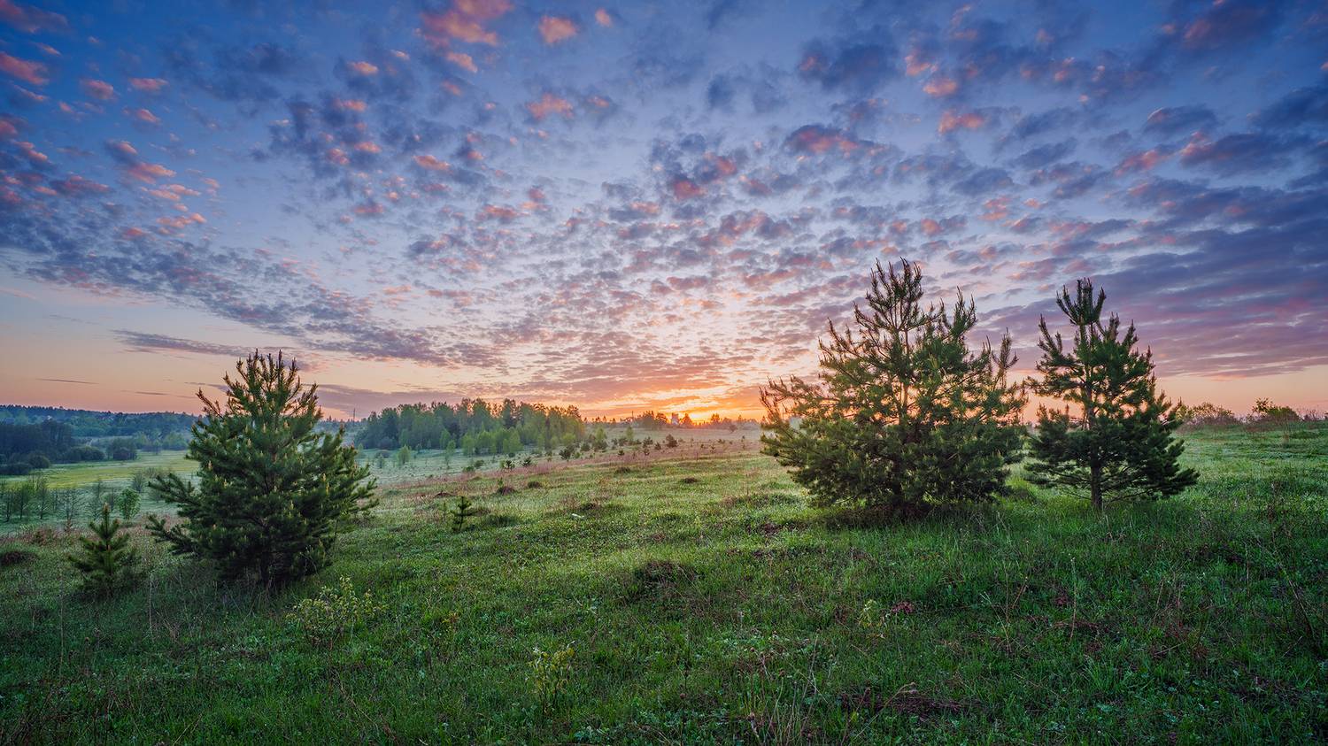 , Андреев Николай