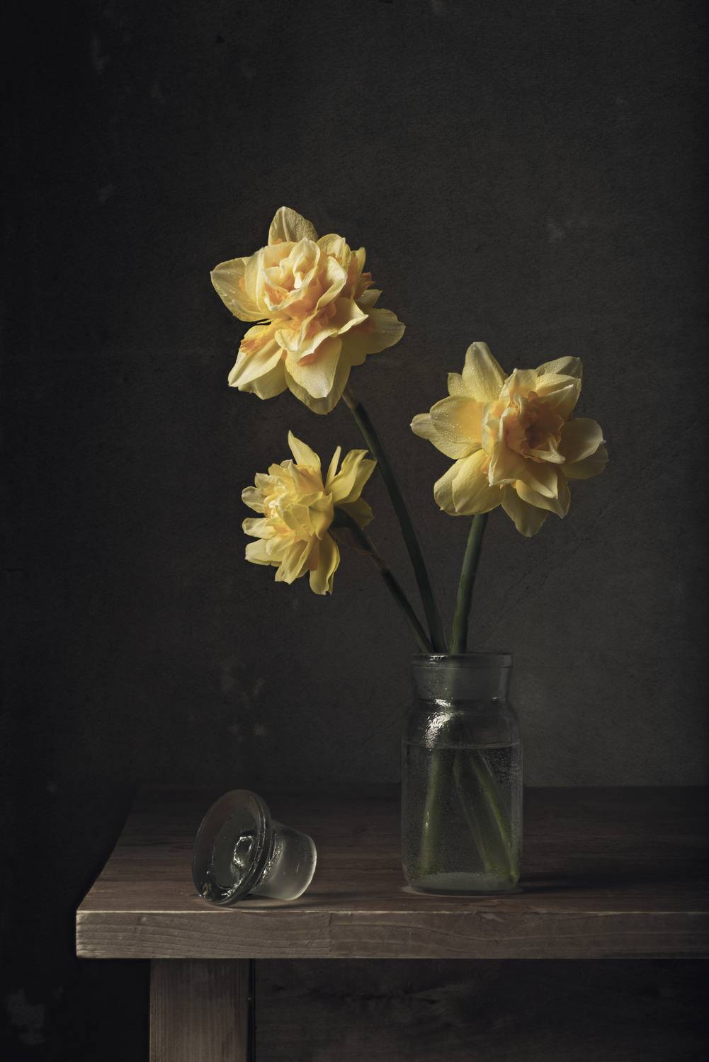 , Максим Вышарь