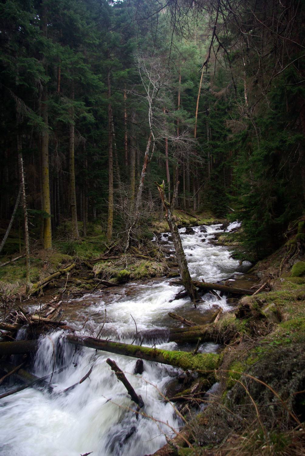 архыз, Андрей Любимов