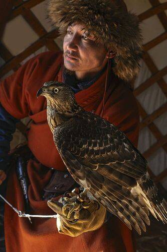 Mongolian eagle hunting festival