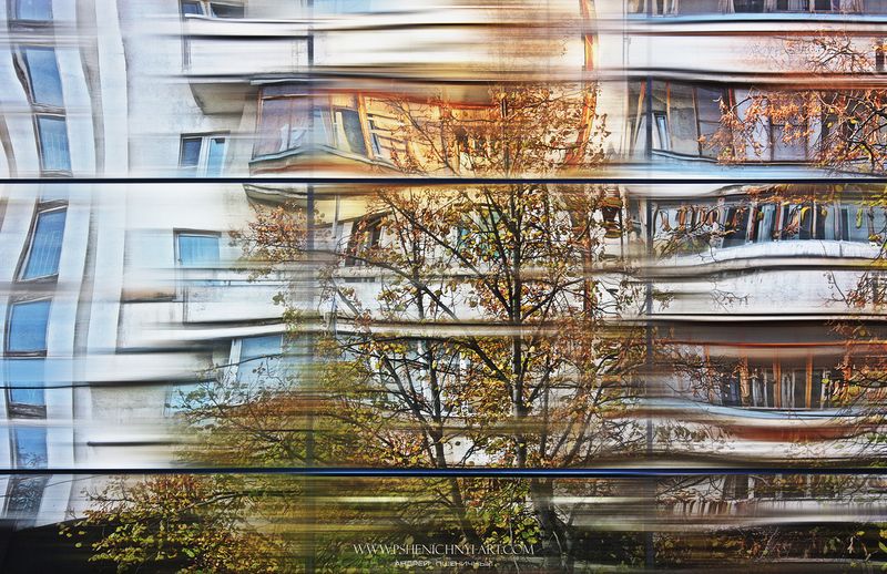 отражение, эффект линзы, город, городской пейзаж, фасад, ритм, абстракция, минимализм, крона дерева, осень В ритме города фото превью