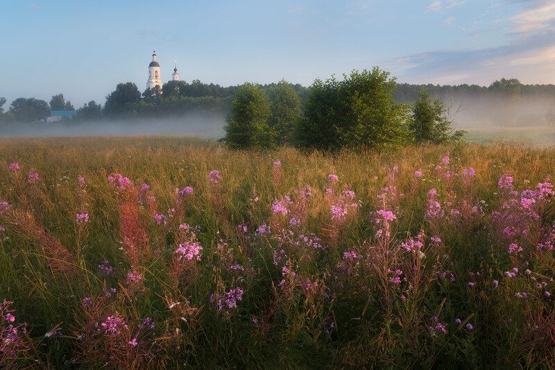 Розовое утро фото превью