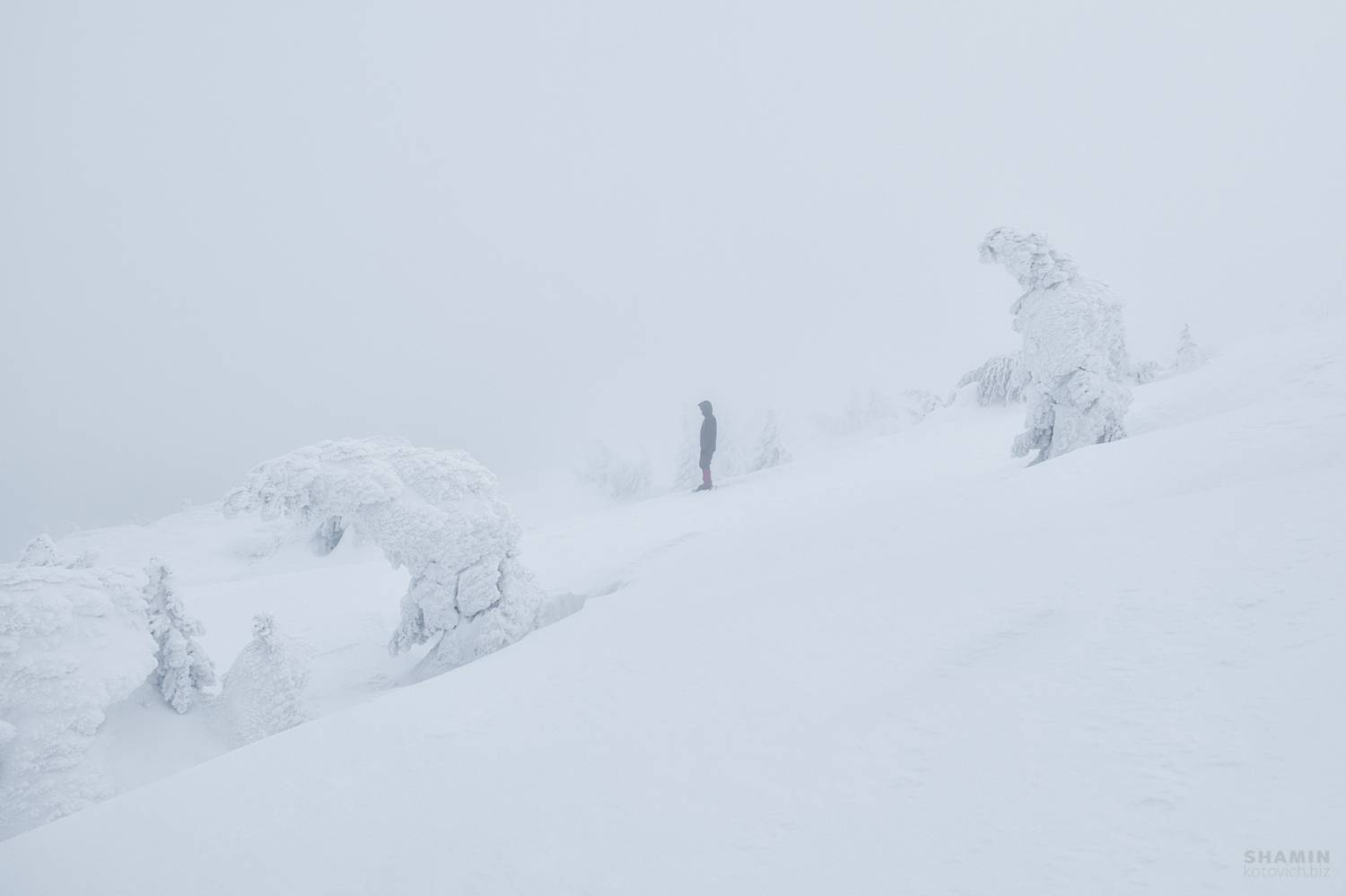 , Константин Шамин