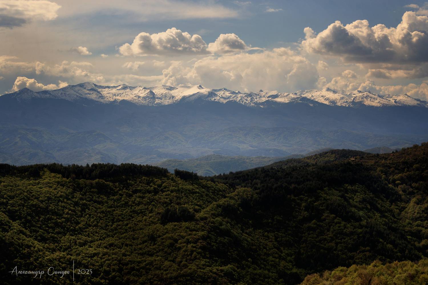 , Сандев Александър