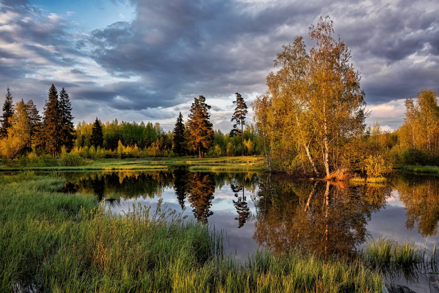 , Евгений Ерохин