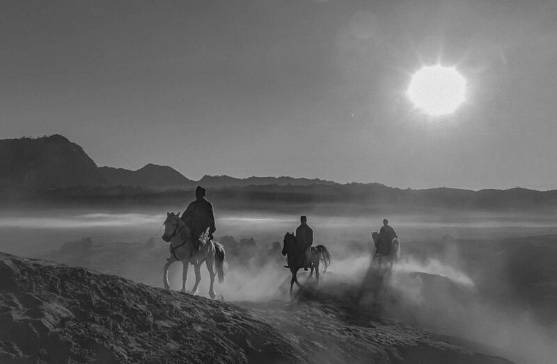 The Hose фото превью