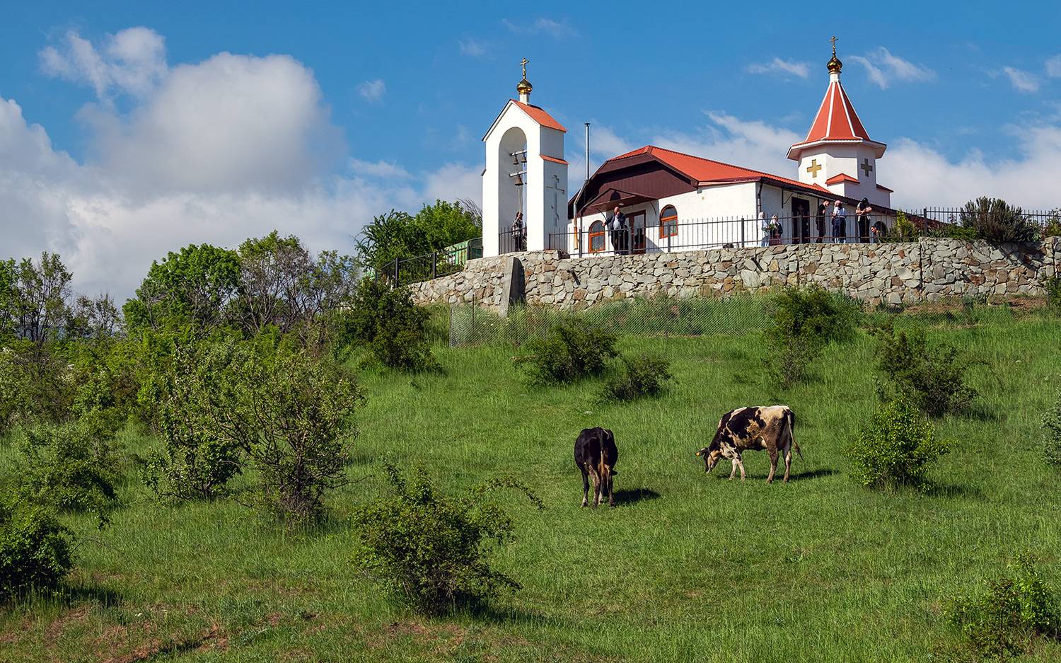 крым, село, храм, коровы, лето, Виктор Климкин