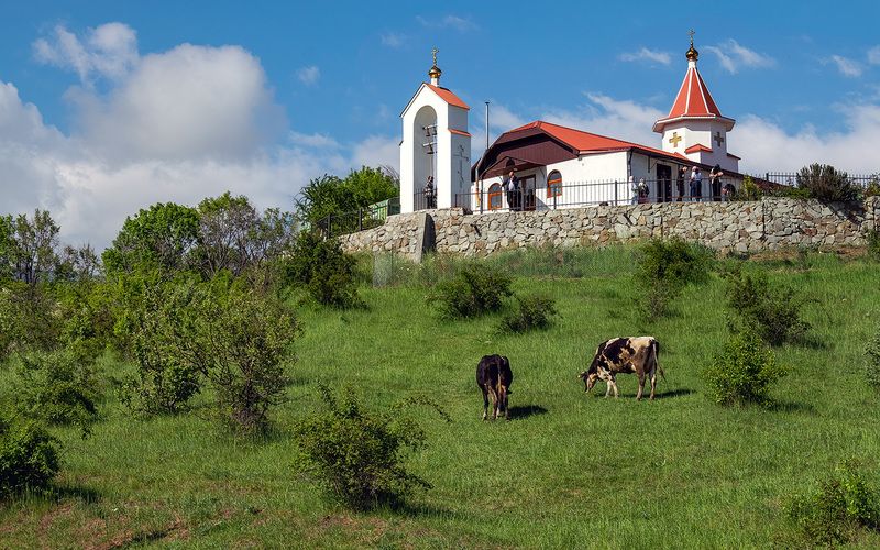 крым, село, храм, коровы, лето Церковь Афанасия Затворника Киево-Печерского фото превью