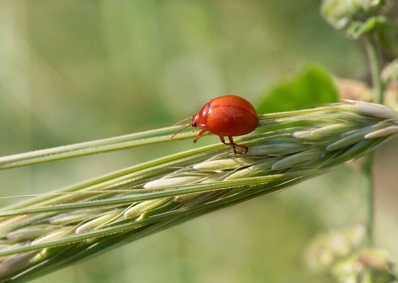 *Порою весна это целая жизнь... фото превью