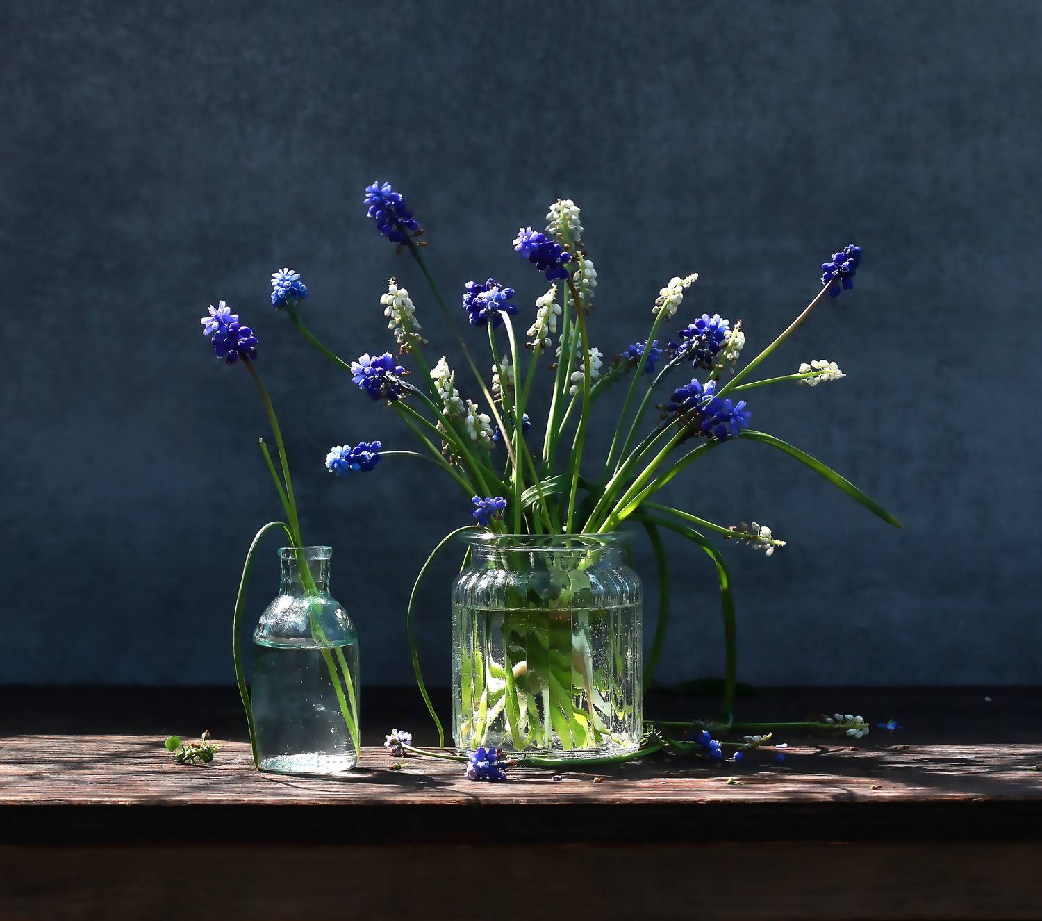 натюрморт, фотонатюрморт, still life, stillifefoto, весна, цветы, цветочный натюрморт, мускарики, наталья_казанцева, Наталья Казанцева