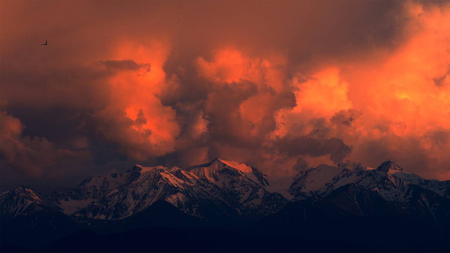 кыргызстан, кыргыз  ала-тоо, Элина Магалимова