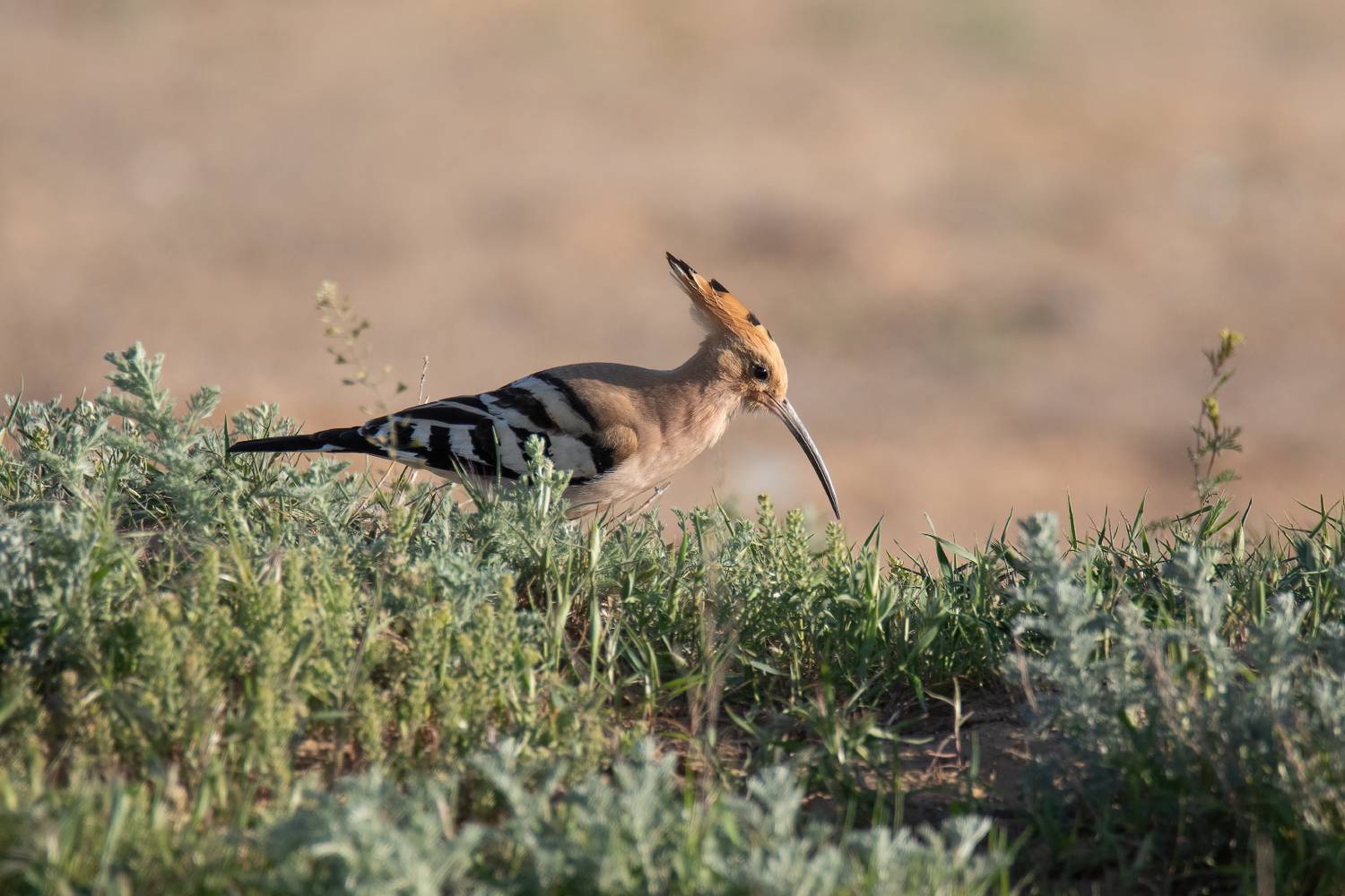 , Татьяна Юганова