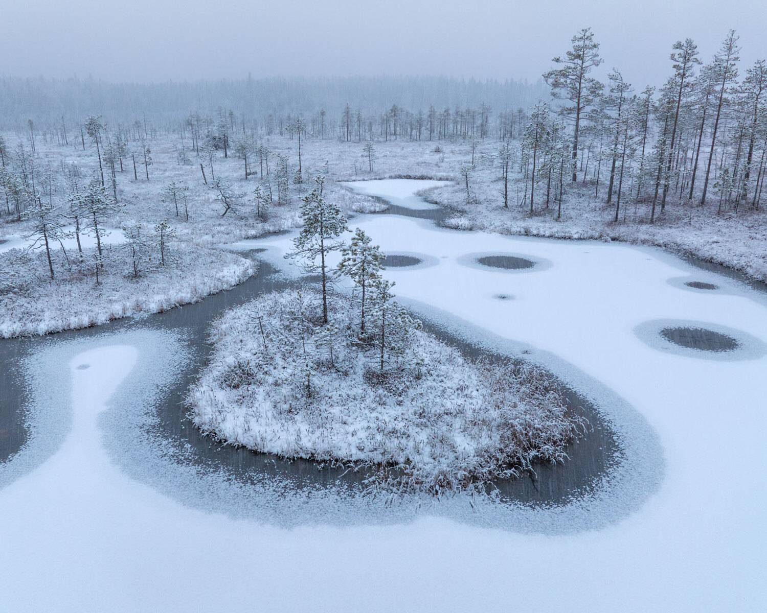 , Бушков Евгений