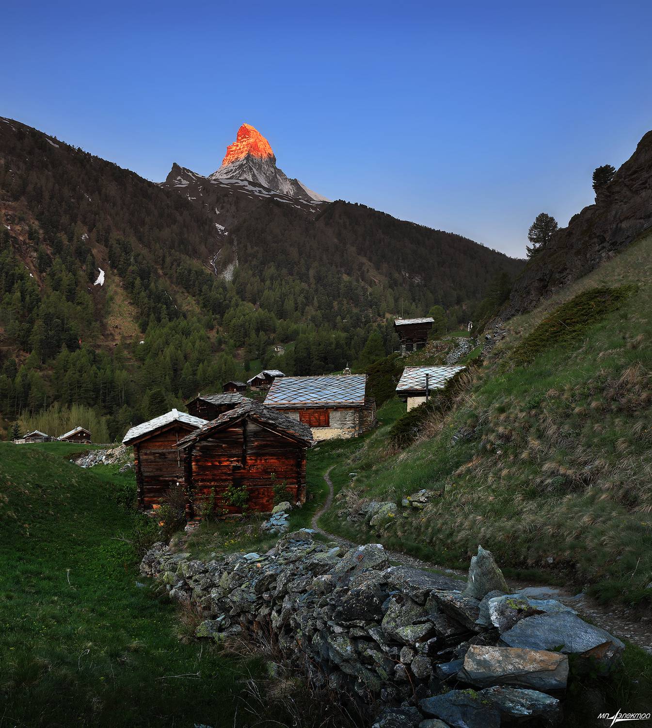 swiss, Матвеев Николай