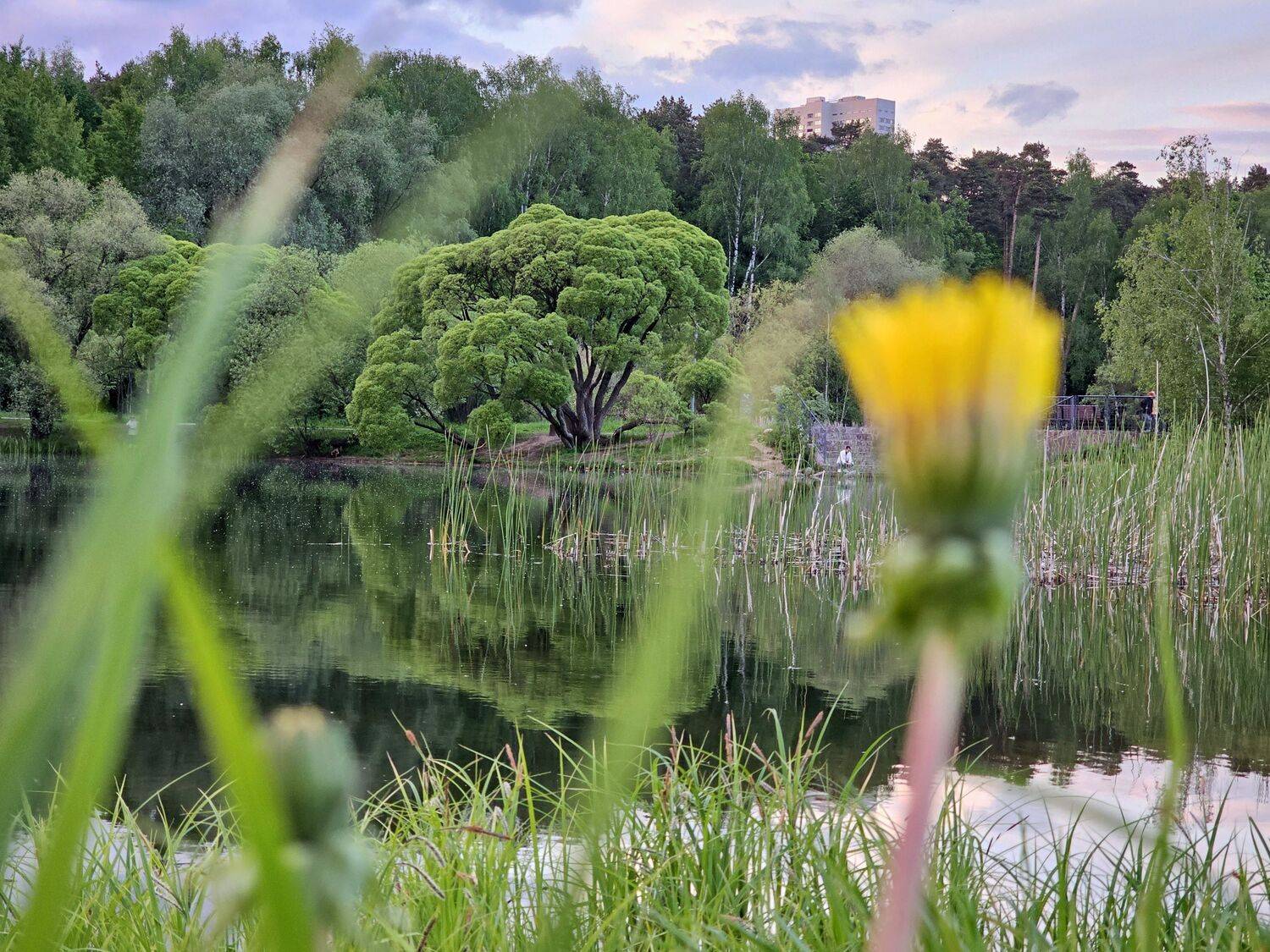 , Мария Яковлева