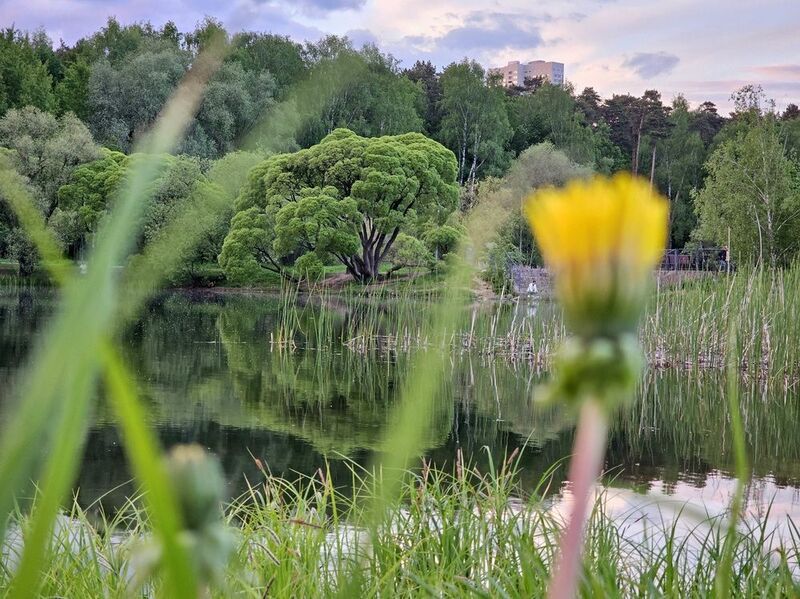 фото превью