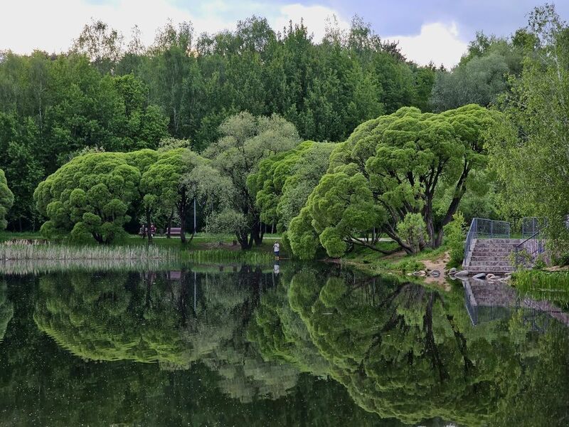 фото превью