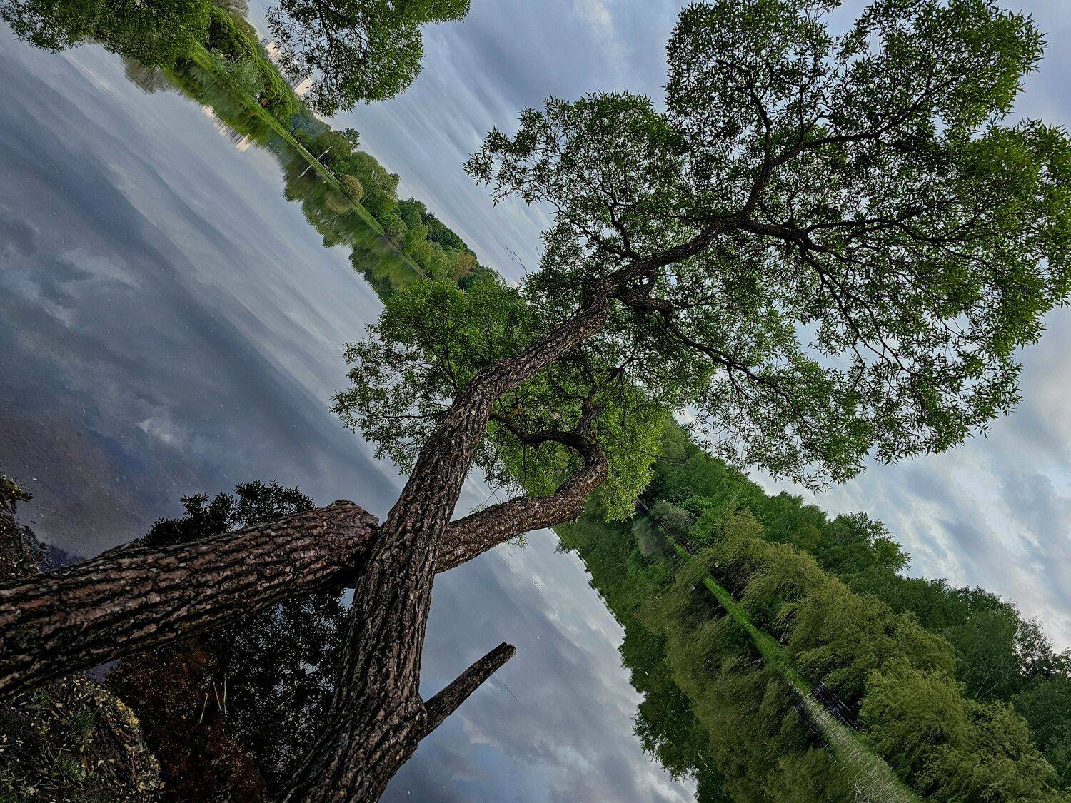 , Мария Яковлева