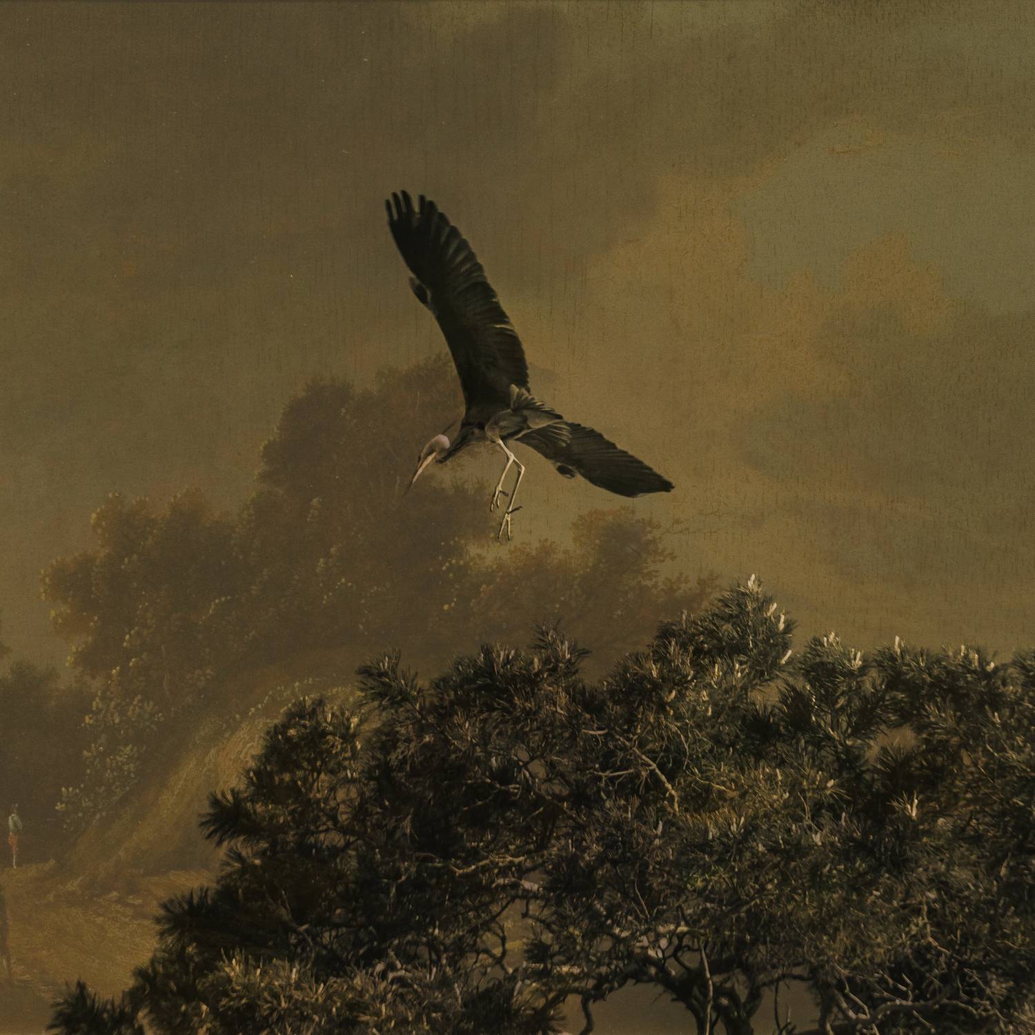 , Сагдиева Эльвира