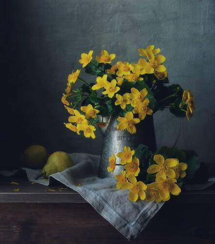 калужница...