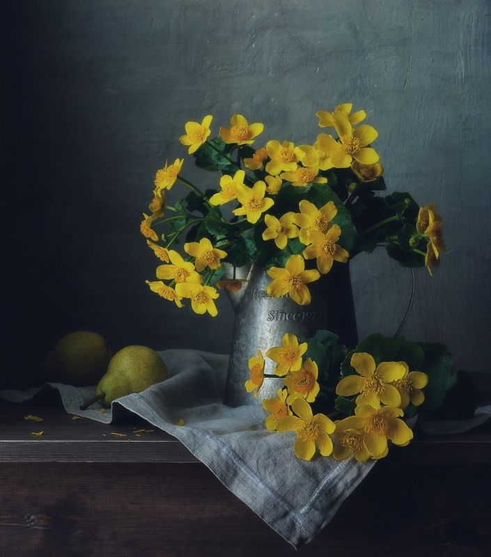 натюрморт,весна,цветы,калужница калужница... фото превью