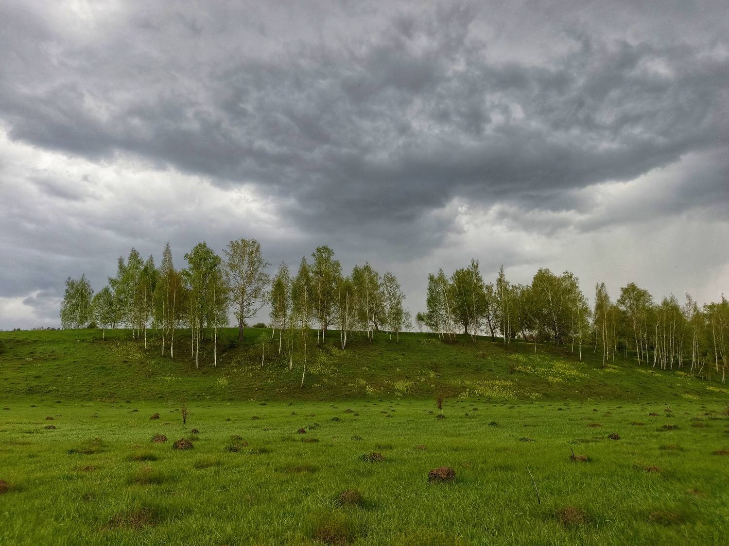 , Кондрашова Светлана