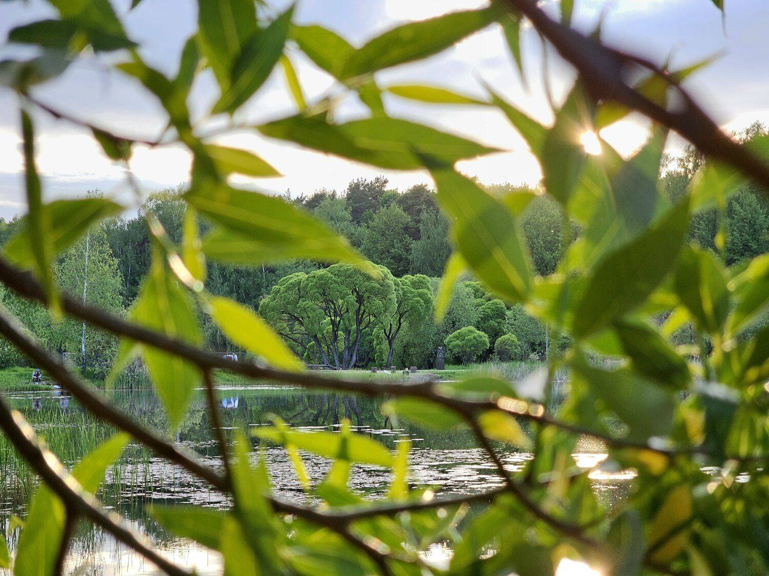 , Мария Яковлева