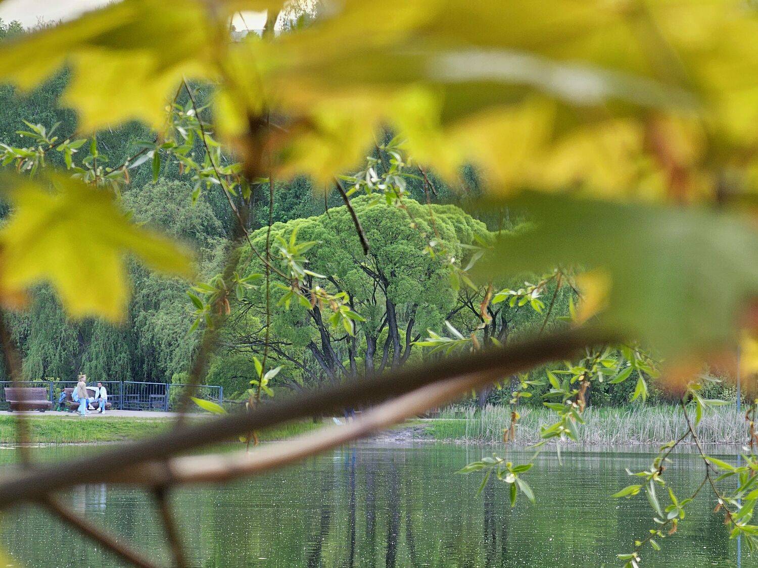 , Мария Яковлева