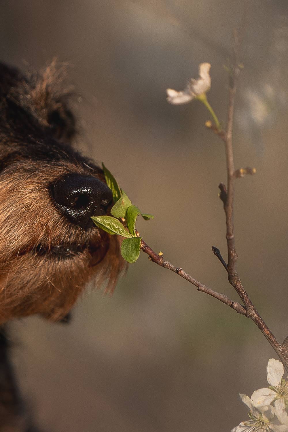 , Елена Самусенкова