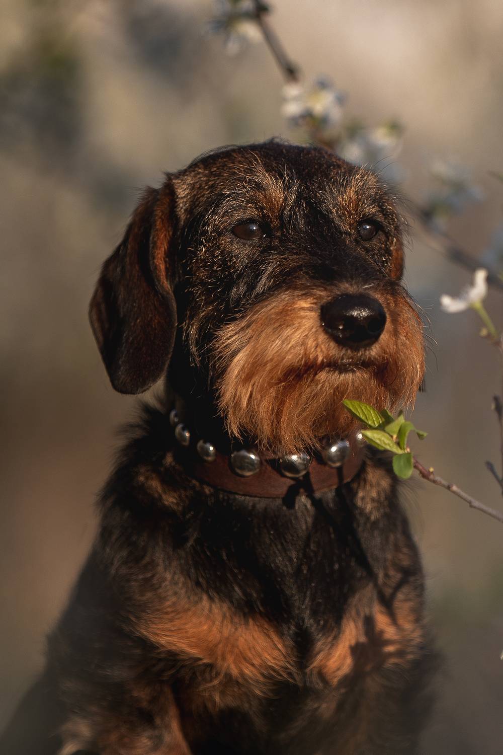 , Елена Самусенкова