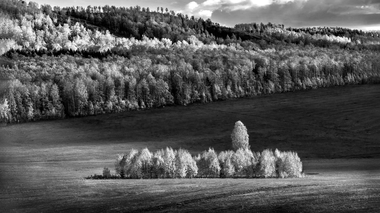, Ушаков Валерий