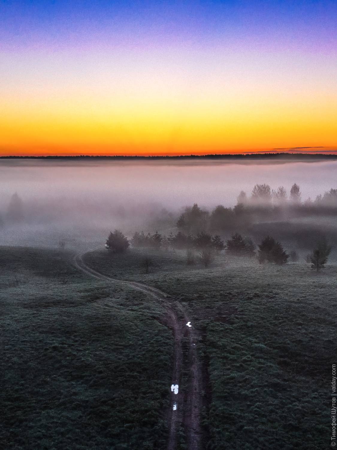 , Тимофей Шутов