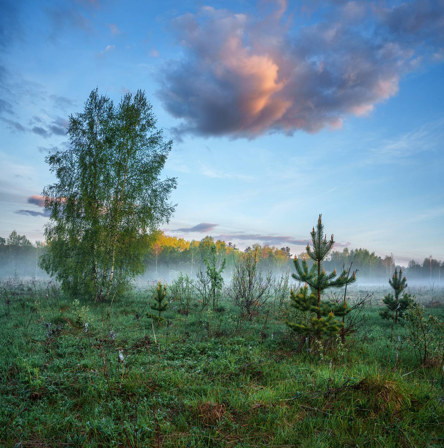 , Андреев Николай