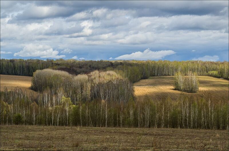 Время первой зелени фото превью