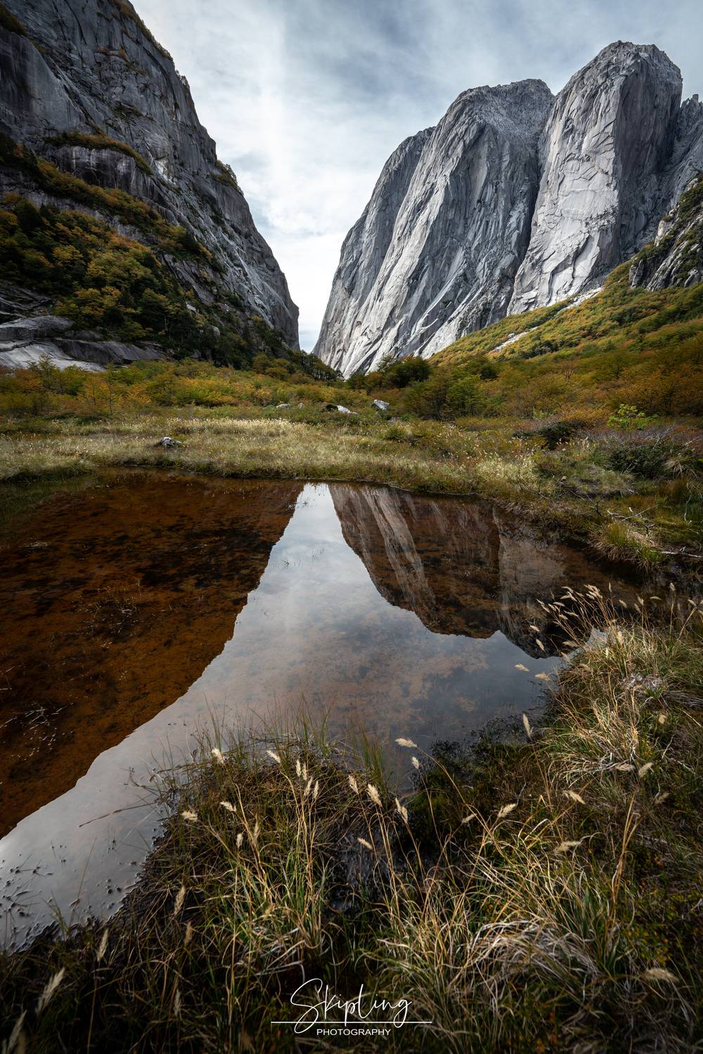 чили, пейзаж, осень, Ганюшкин Владимир